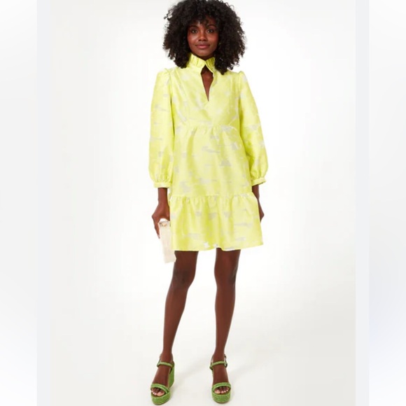 Tuckernuck Dresses & Skirts - TUCKERNUCK Citron Fil Coupe Palmerston Dress Size Medium